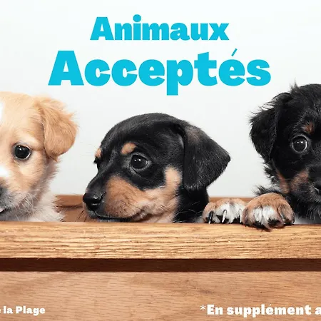 아파트 Superbe Moderne Avec Wifi, Proche Et Commerces - Fr-1-323-280 *